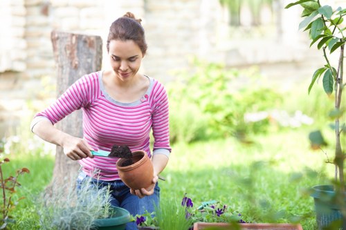 Gardener tending to plants in a Raynes Park garden